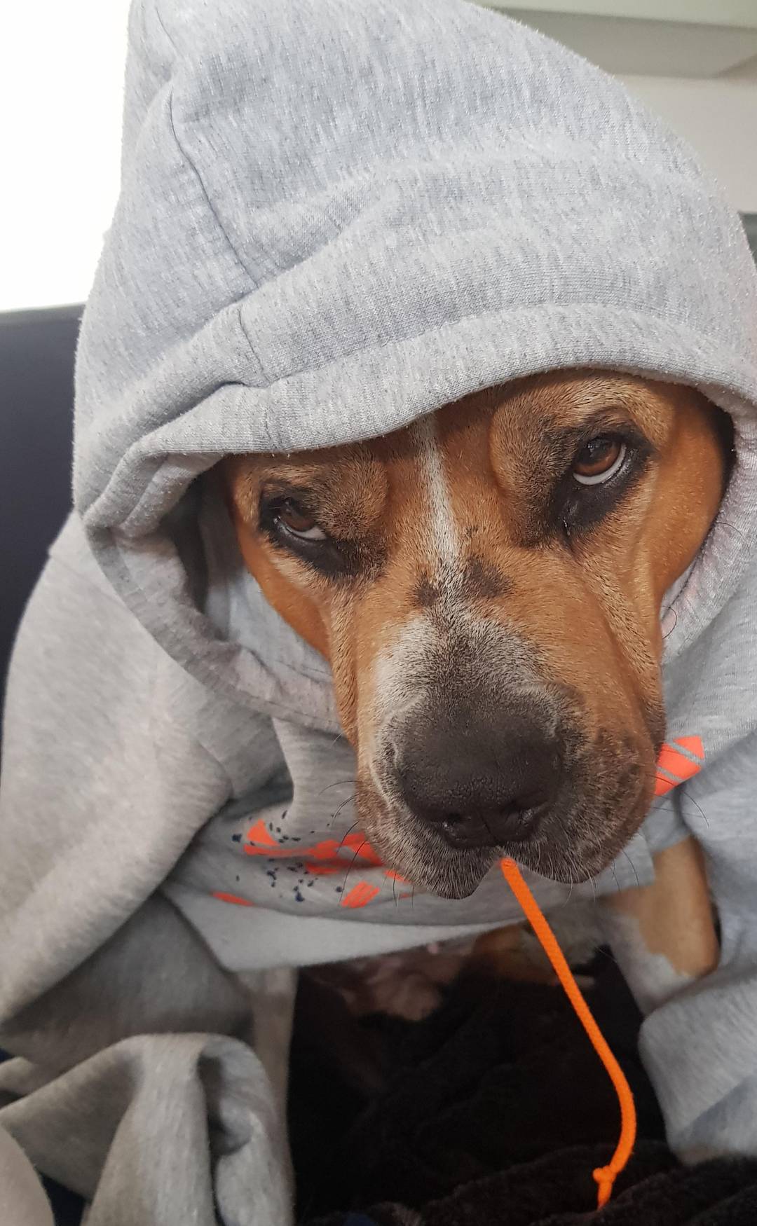 Get your hood on!