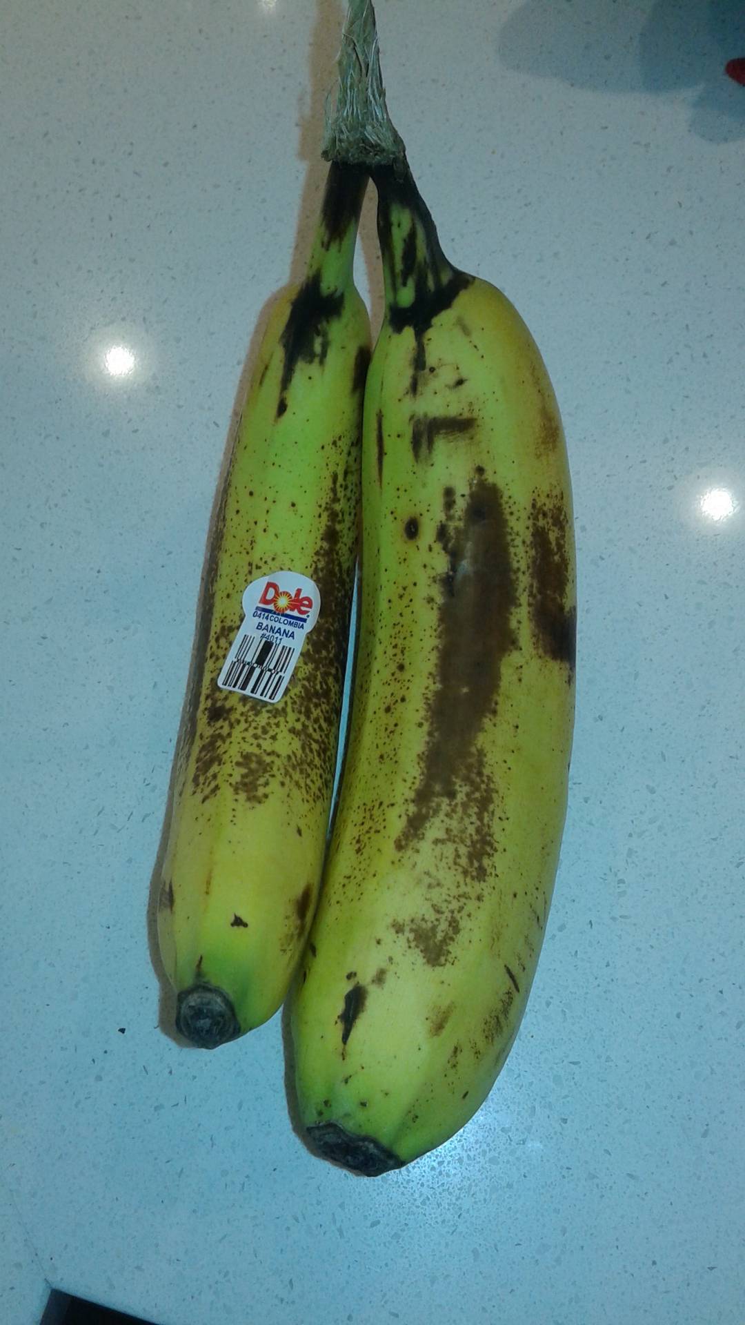 Giant Banana, banana for scale, with a twist!!