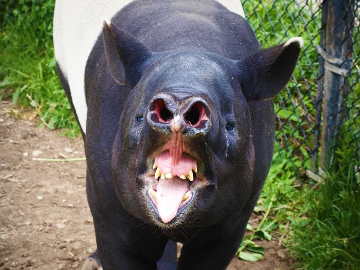 Give us a big smile!