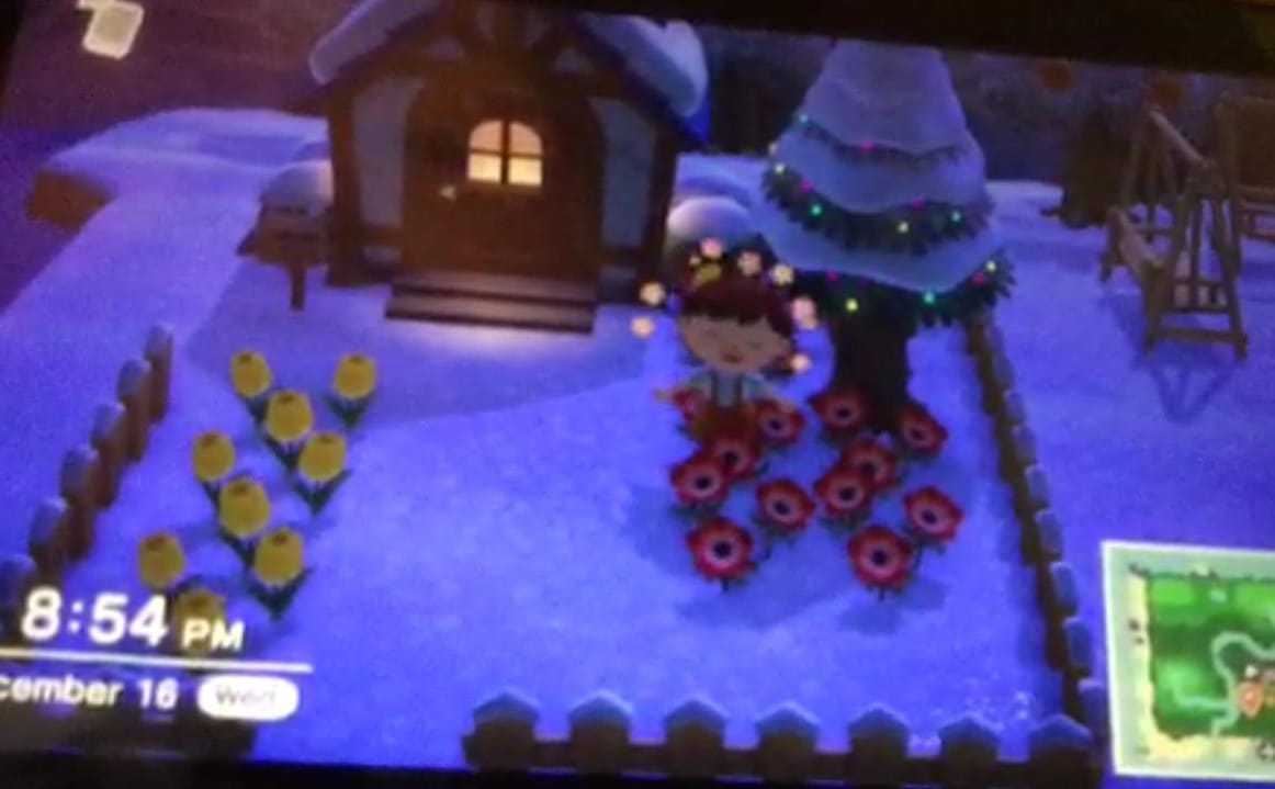 Glad to share my adorable little's ACNH garden. Aren't they lovely? *-*