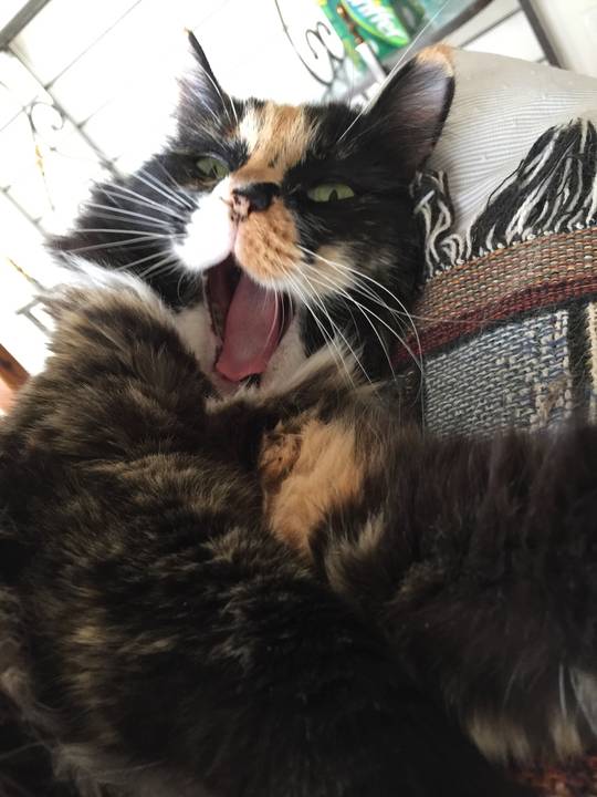 Gloria says Heeyyyy
