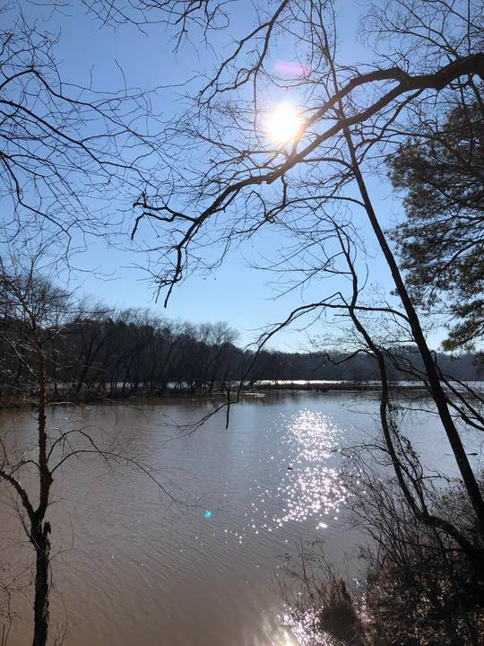 GOLD BRANCH - Chattahoochee River National Recreation Area. This is an awesome 3.2+ mile hike just outside of Atlanta with great views and nice terrain to hike along Lake Bull Sluice.