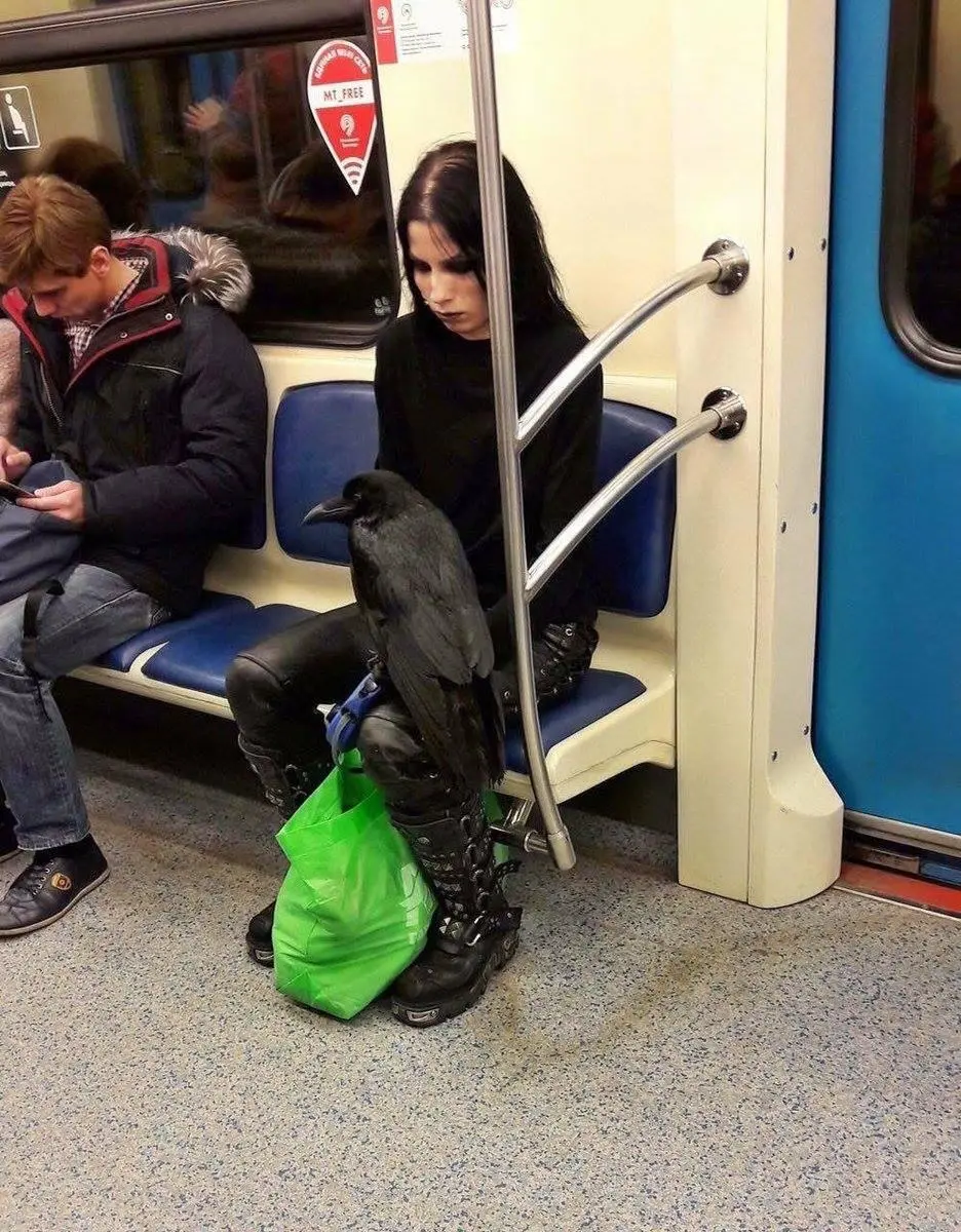 Sure, you might THINK you're goth, but unless you dejectedly ride the subway with your raven, you may as well hang up your black velvet frock coat and hit the beach.