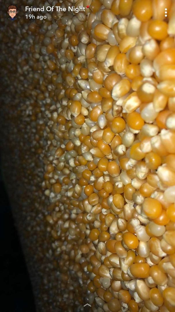 Grain field, popcorn rules.