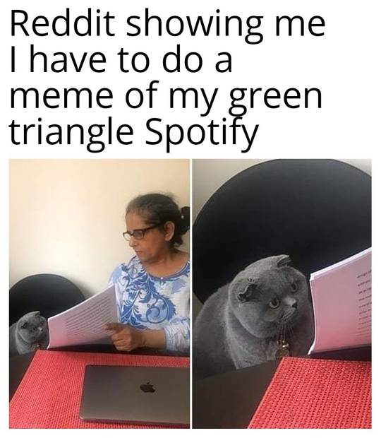Green triangle Spotify go brrr
