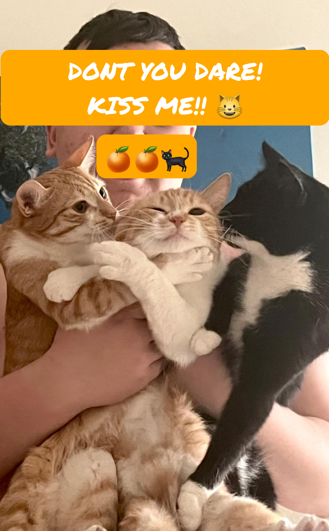 Grogu is harassing her sister Haku into kissing her 🍊🍊🐈‍⬛