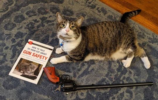 Gun Safety is very important