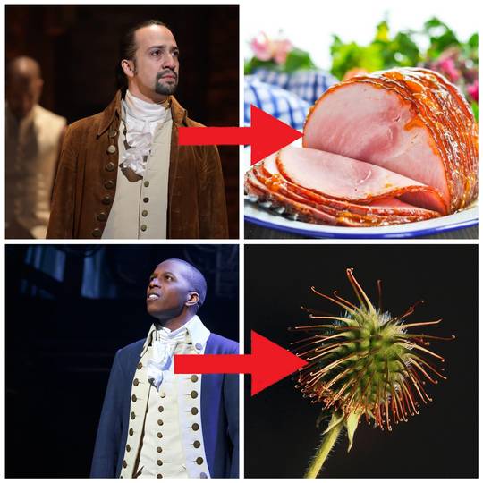 Ham and Burr