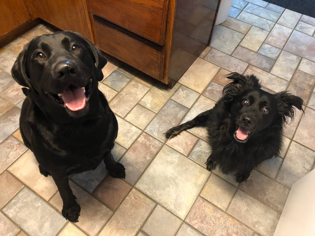 Happy treat time!