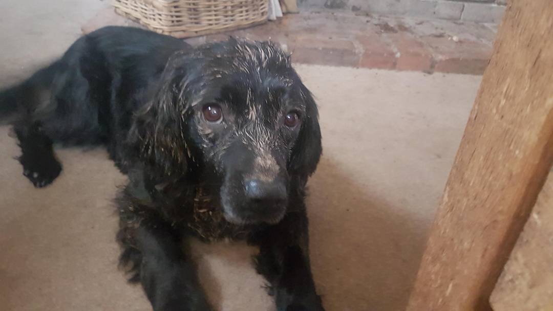 Have you been digging again?