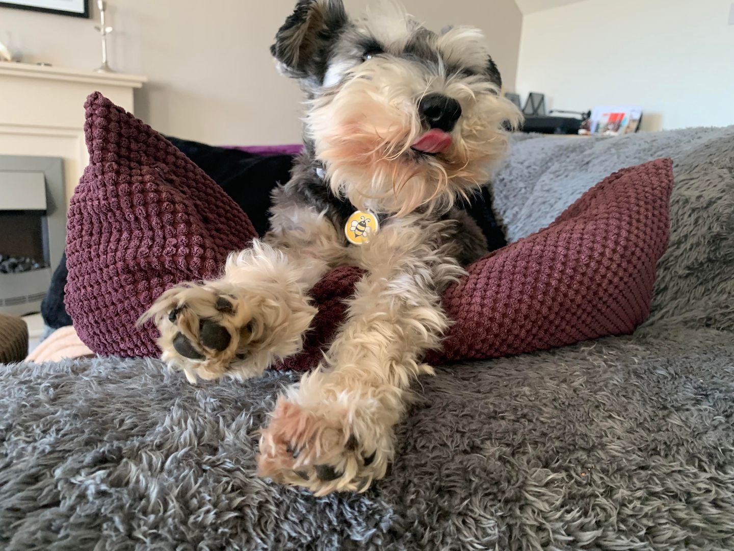 Having a good ol’ stretch