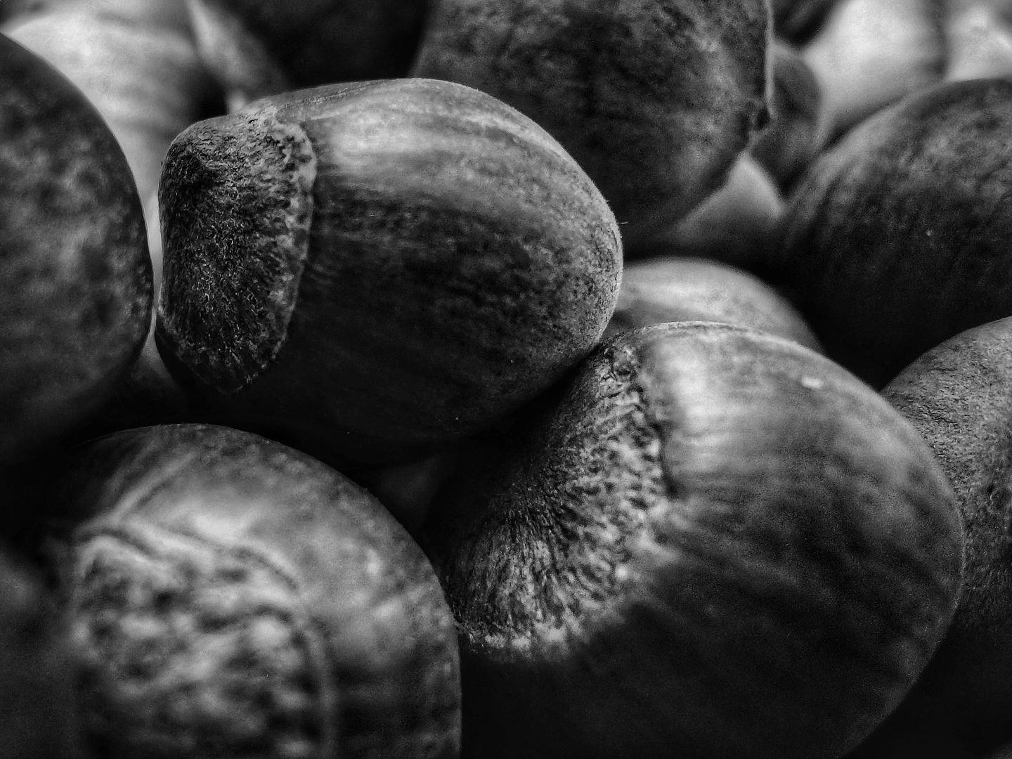 Hazelnuts [3000x4000] [OC]