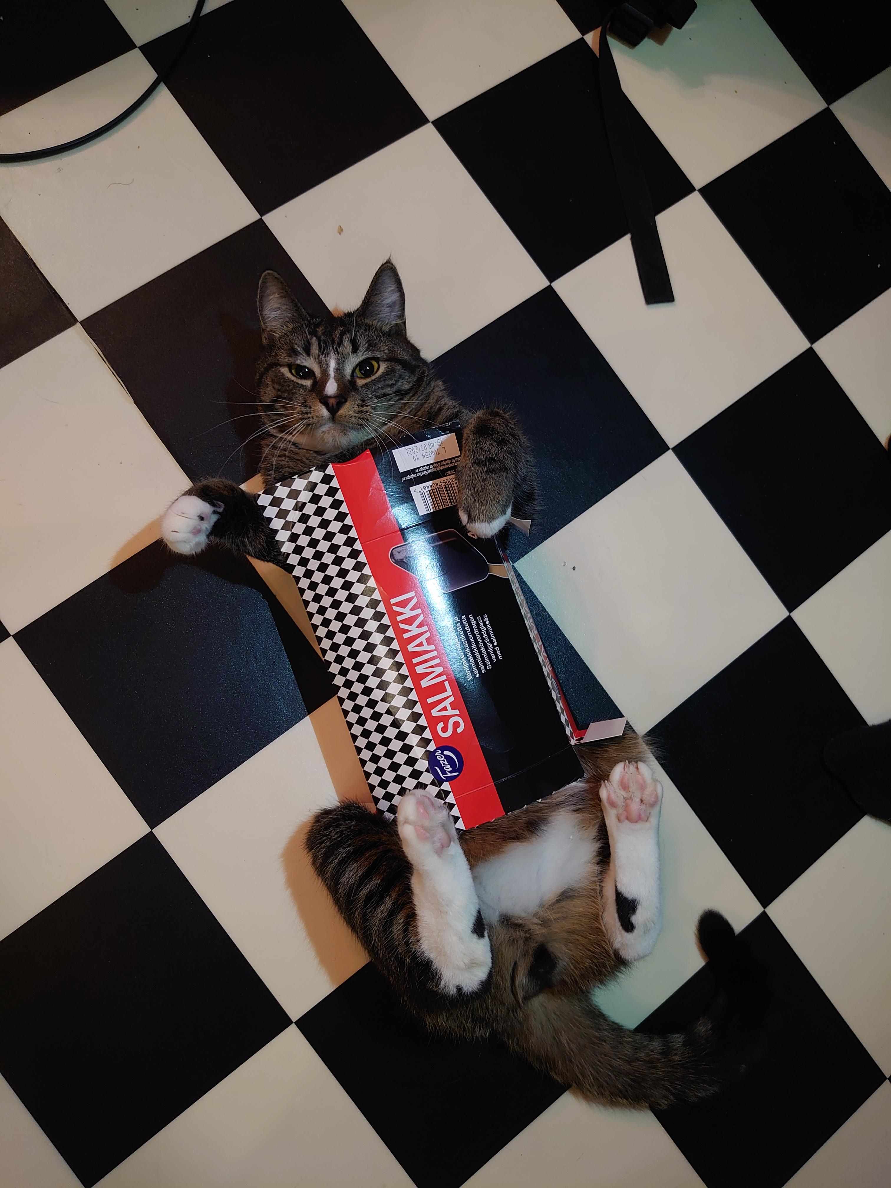 He got so grumpy when we tried to help him out..and then went right ...