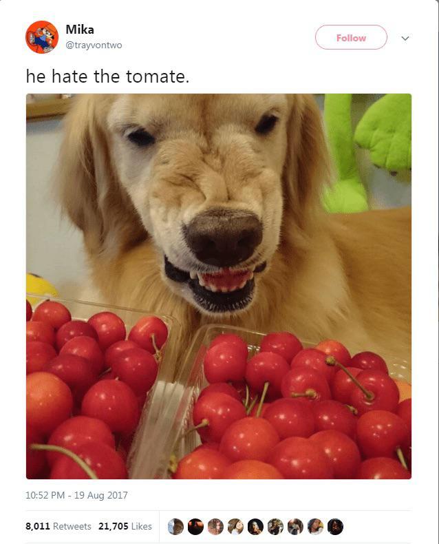 He Hate The Tomate