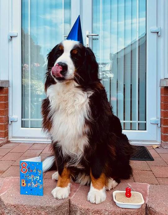 He just turned 8! 🥳