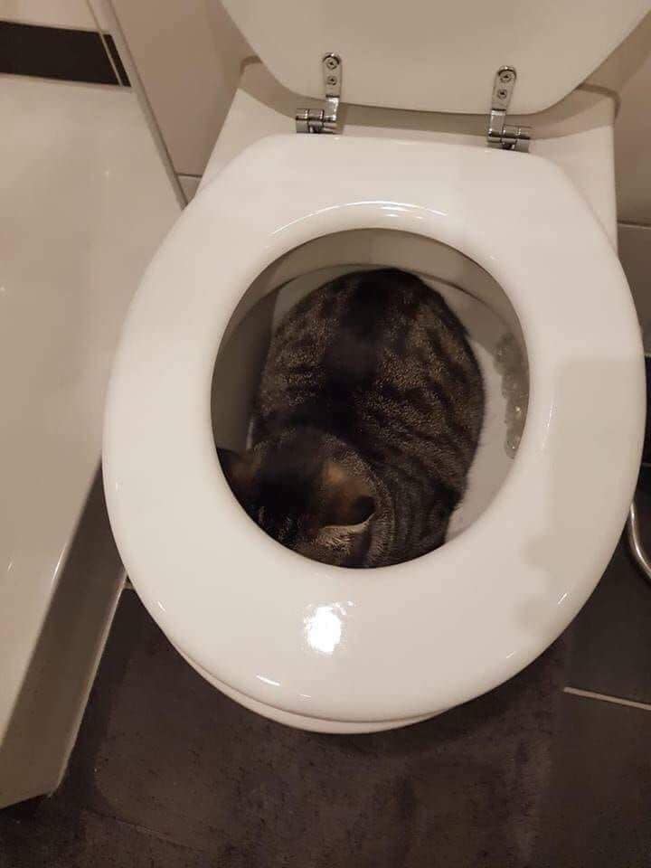 He tighted in the wrong place