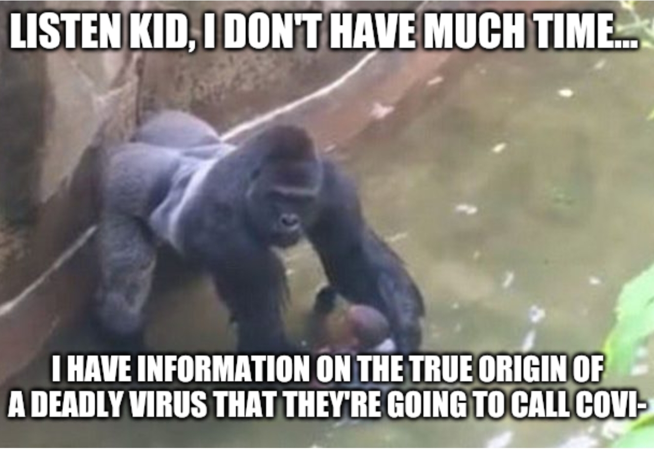 He Tried To Warn Us Scrolller