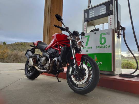 Hello! Presenting my new friend.