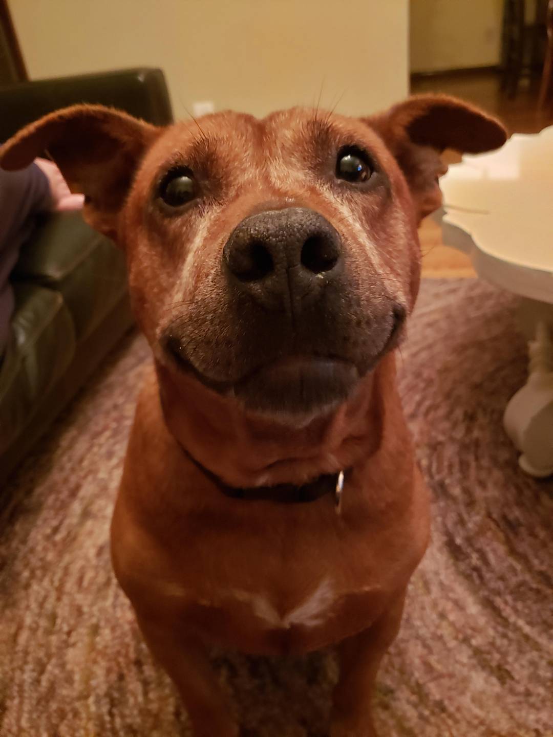 Hello Tater!