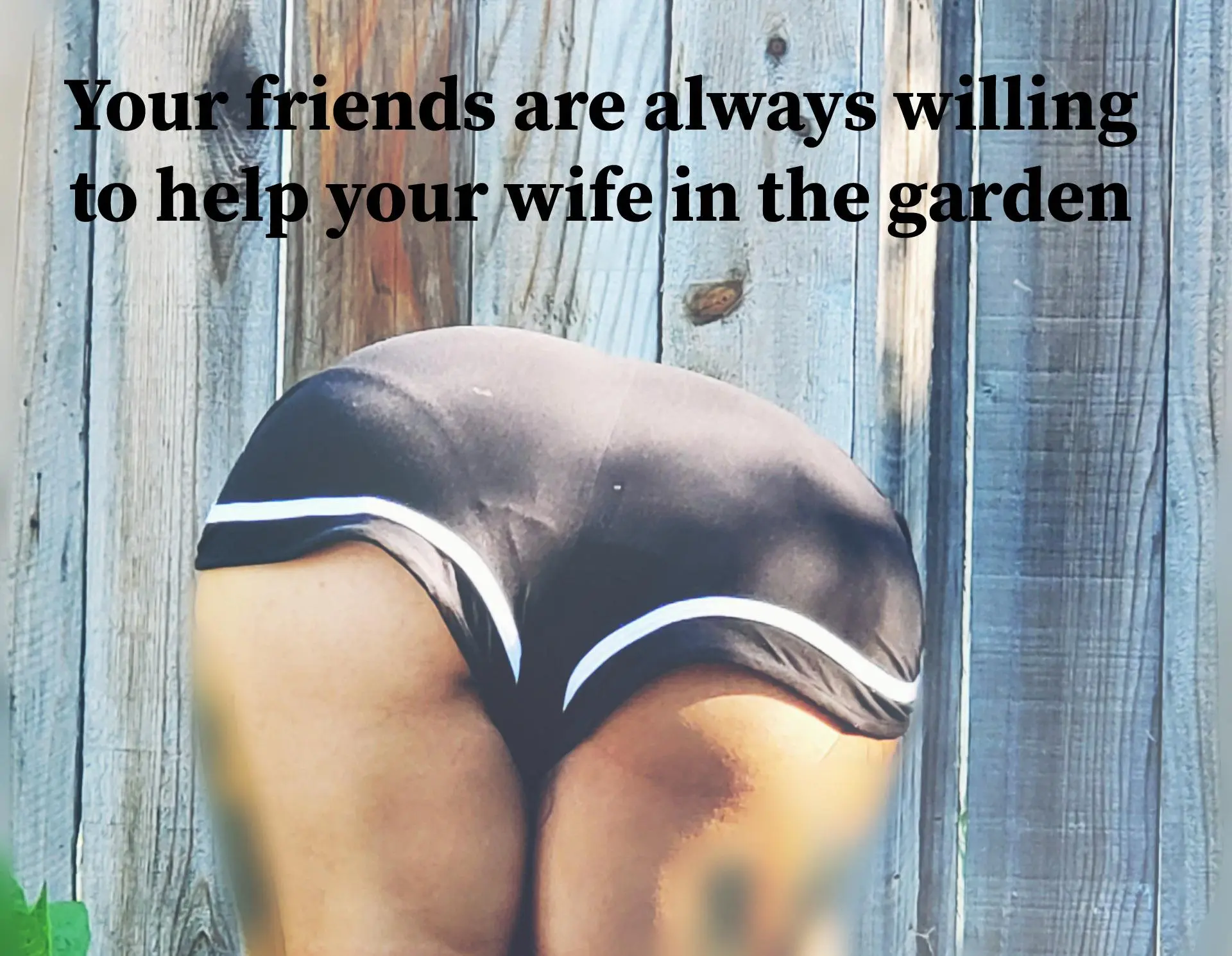 Her garden is perfectly tended. Trying captions, let me know what you think