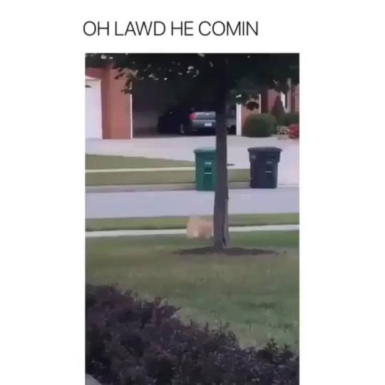Her massive mound of a pussy is comin! OH LAWD IT'S COMIN!