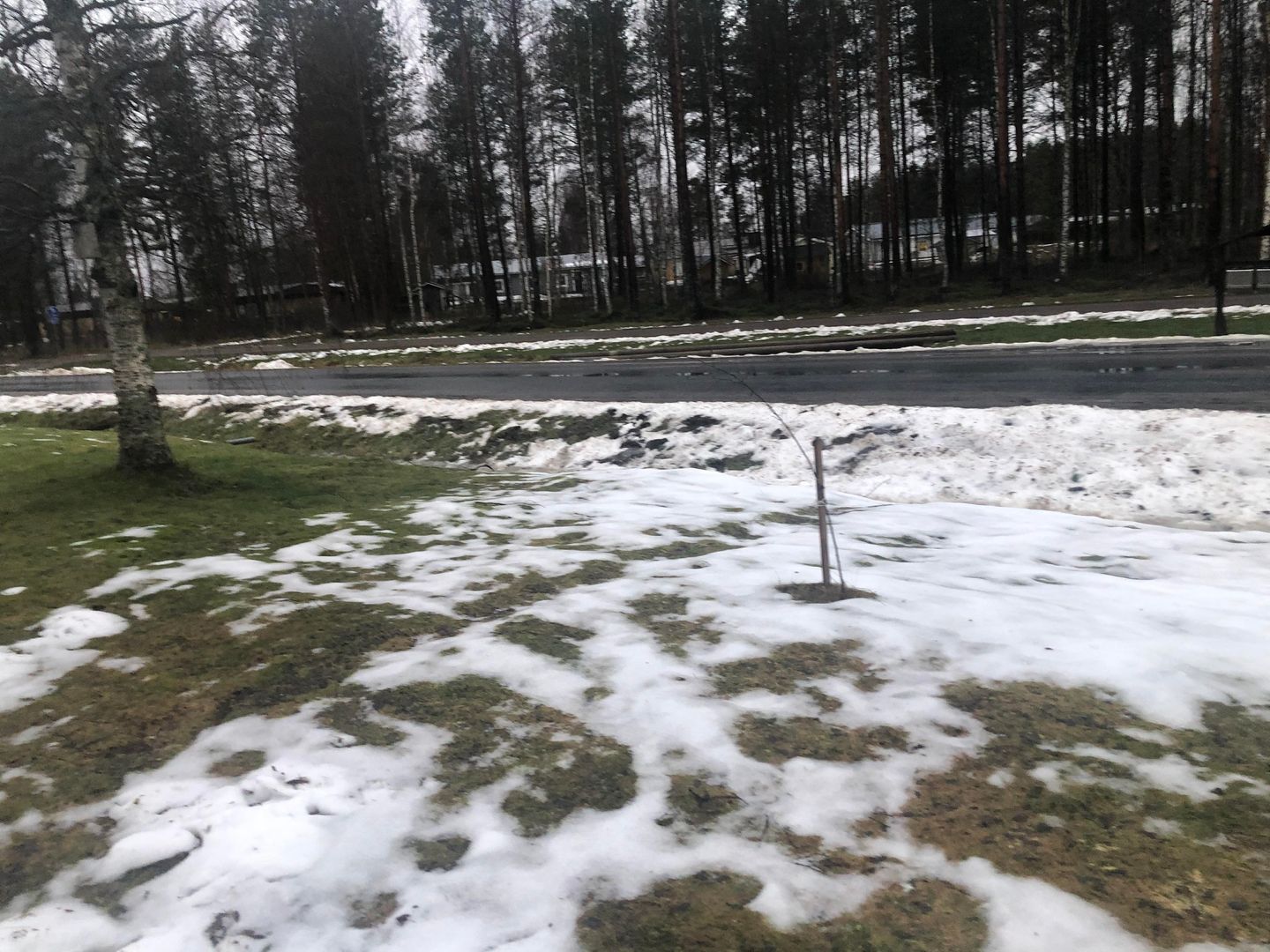 Here is what ”winter” looks like in Finland. Pic taken today