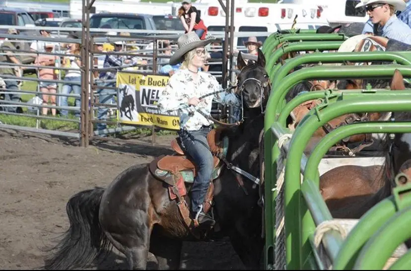 Here’s a cool pic from when my horse rammed into the chutes:) | Scrolller
