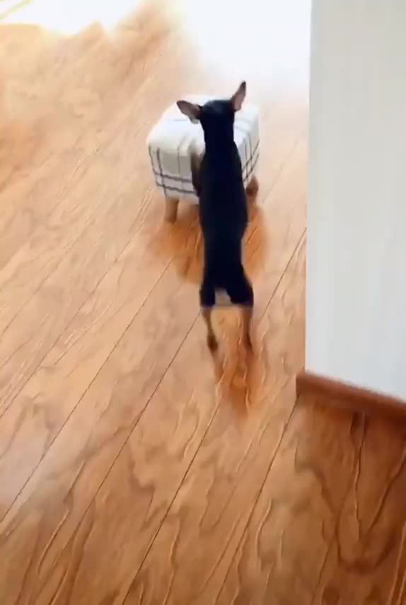 Hey, can you clean my ears please?