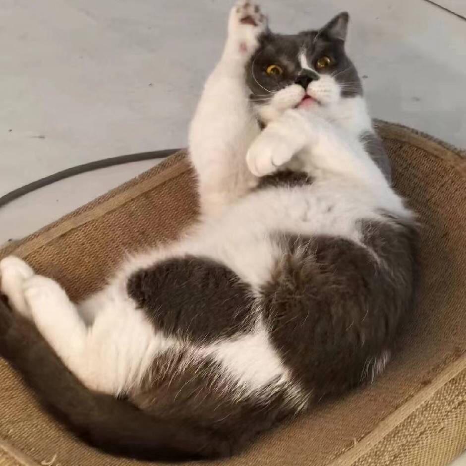 Hey, man, you scared me!