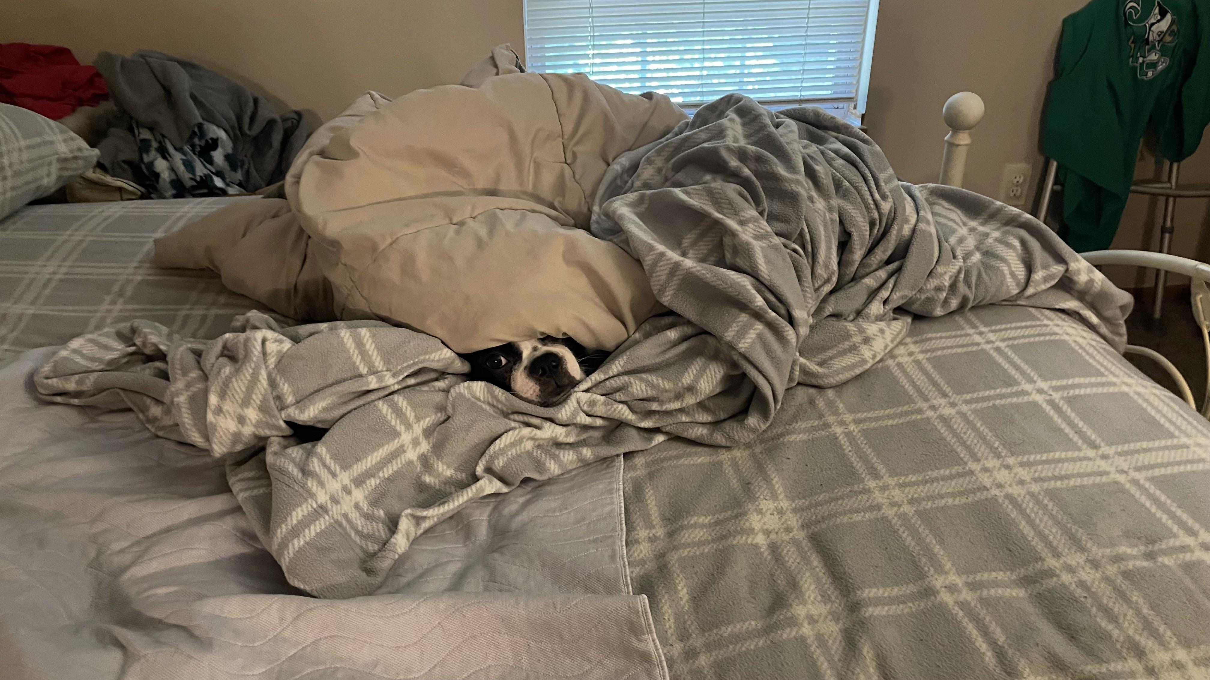 Hide & Go Peek | Scrolller