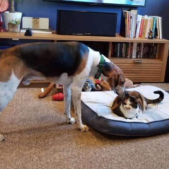 His intimidation tactics didn't work