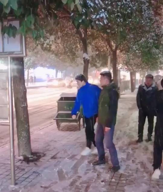 HMB while I kick this tree