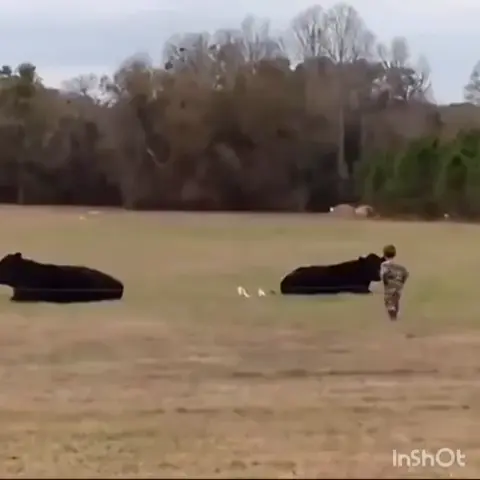 HMJB while I make $20