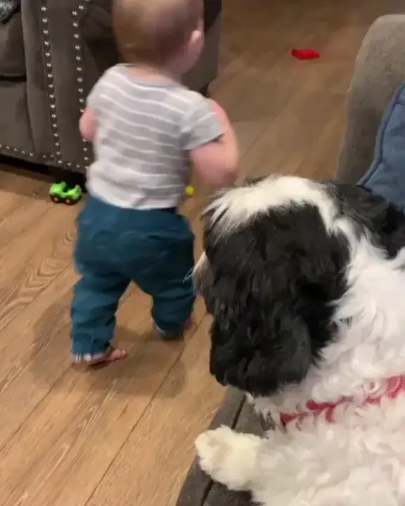 HMJB while I throw caution to the wind