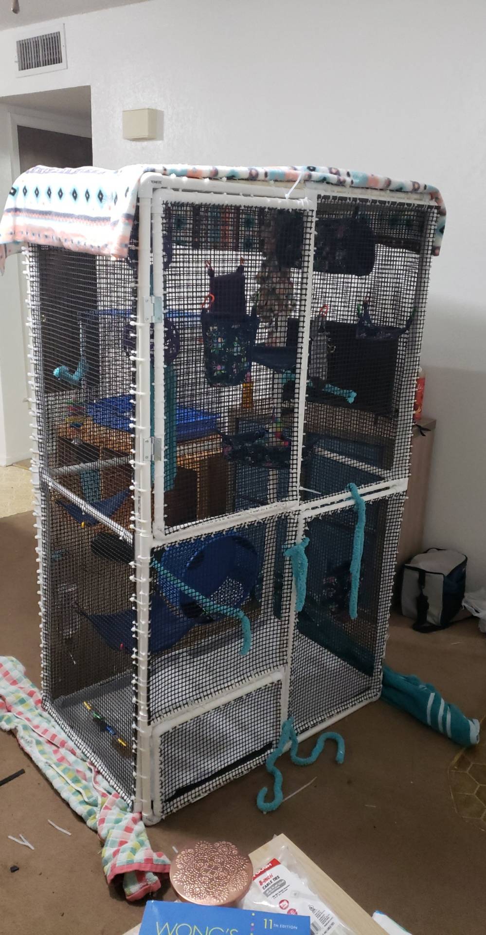 Homemade pvc pipe cage! My boyfriend and I made it for our two babies Luna and Haisley. What do y'all think?
