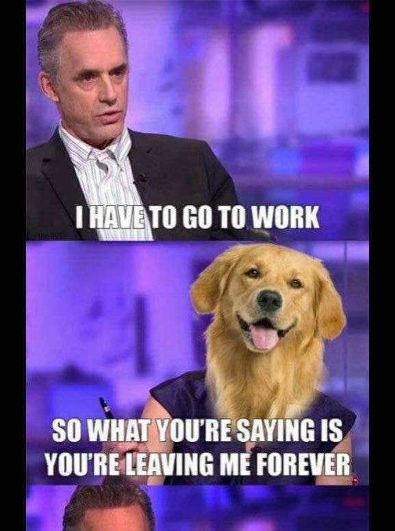 Hope it's not a repost