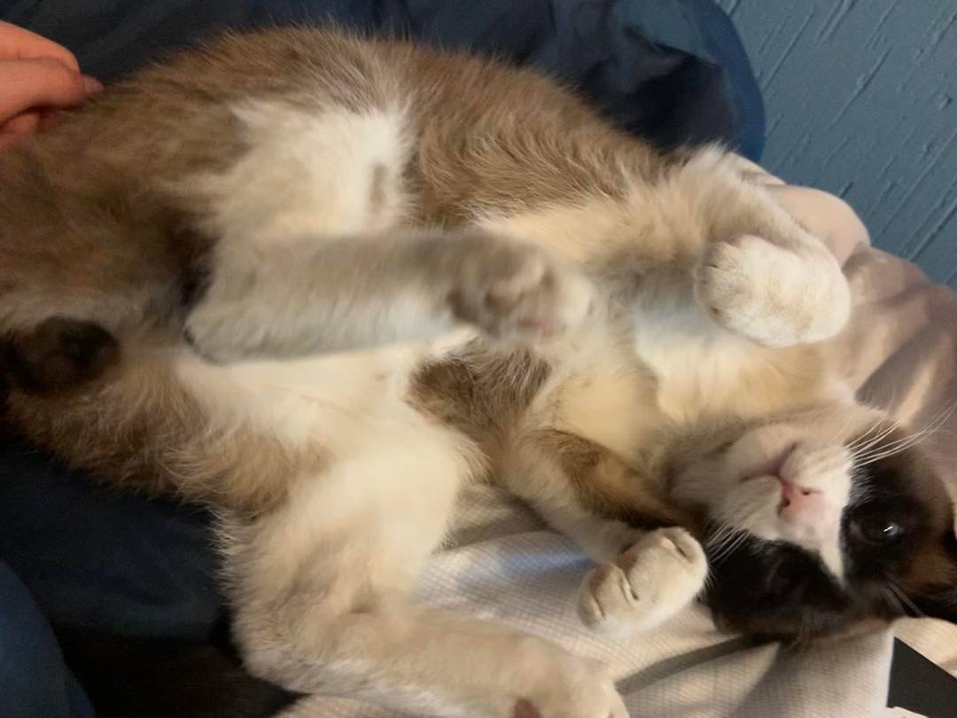 How can you say no to that beautiful belly AND face?