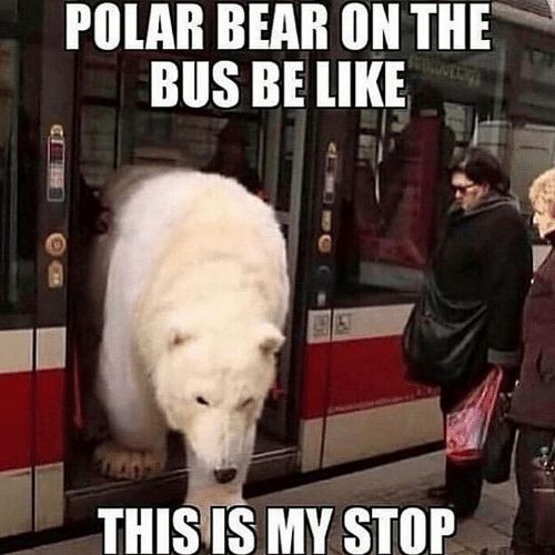 how he get on the bus