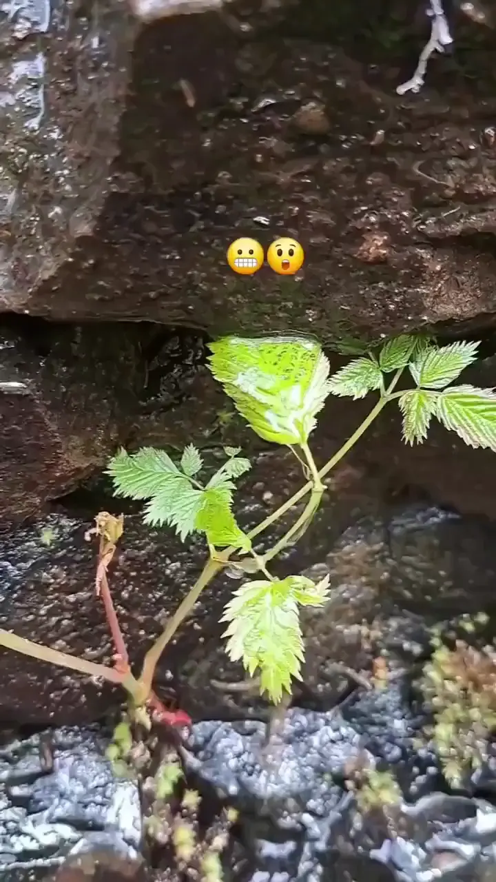 How it's possible anyone can explain!?