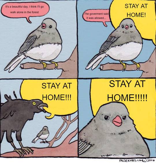 How most Lux Facebook posts devolve into.