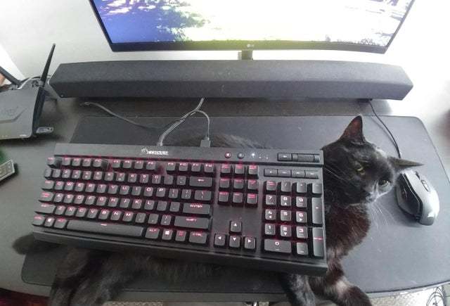 How the tables have turned