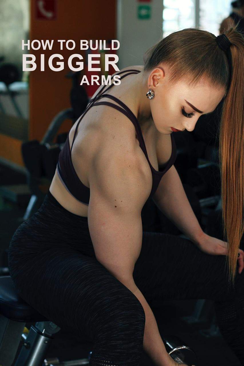 How to build bigger arms | Scrolller