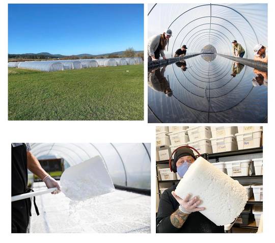 How to make seas salt in your back yard. This little local company called San Juan Island Sea Salt produces a pretty large amount from just these few evaporation pools.