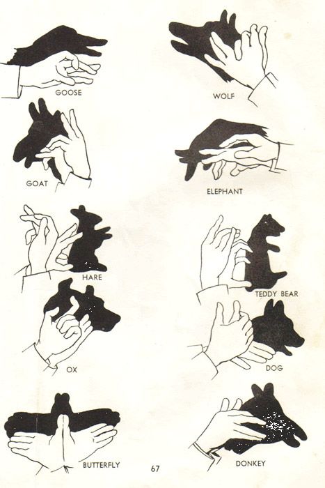 How to make shadow animals