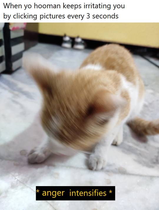 How to scratch a human effectively