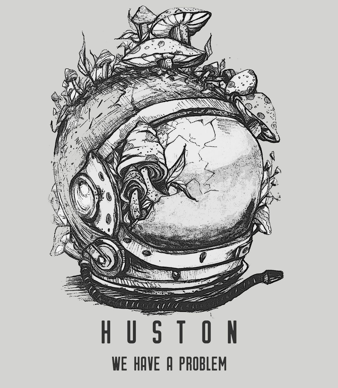 Huston we have a problem