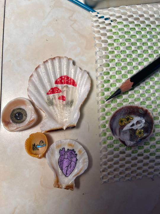 I decided to draw on some of my shells