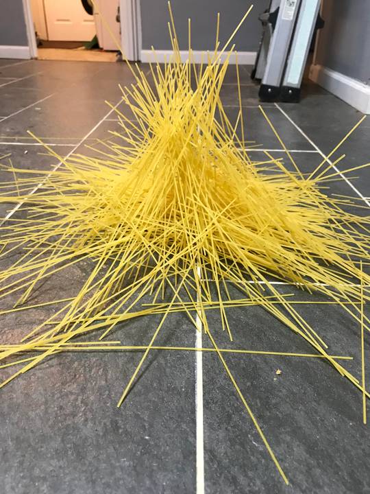 I dropped a box of spaghetti on the ground and accidentally graduated from Art School.