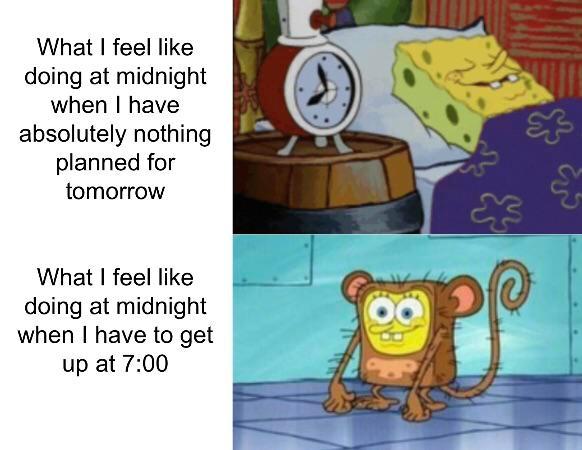 I feel like doing literally anything but sleeping.