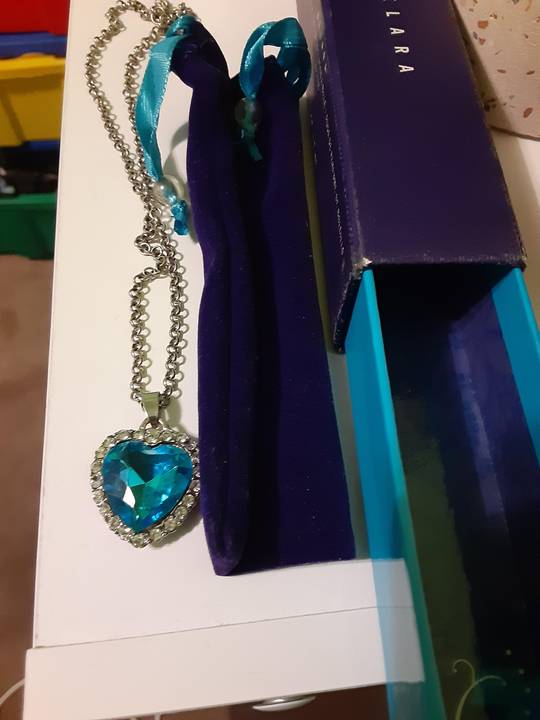I have the heart of the ocean necklace!